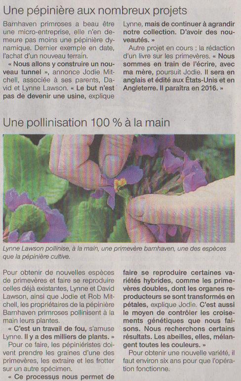 of_pepiniere_barnhaven_primroses_plestin_20150316_b.75