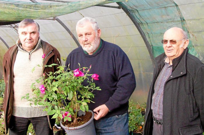 serge.gouessan_2016022310320705_Marcheauxplantes