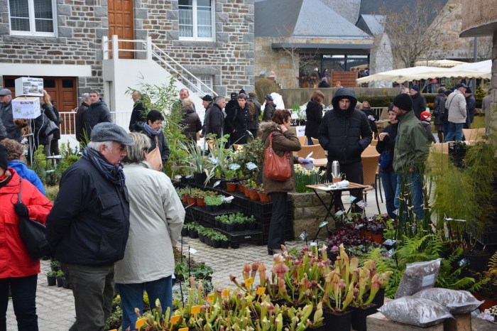 marche_aux_plantes_20150322_visiteurs_6466 - copie