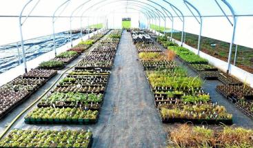 of_20170304_jardin_roche_st_louis