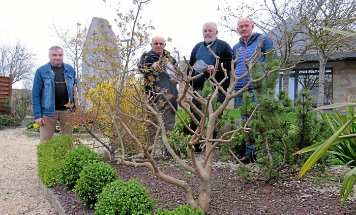 of_20170316_marche_aux_plantes