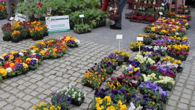 of_20170319_marche_aux_plantes