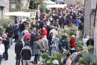 Marche-regional_aux_plantes_2018_0517