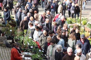 Marche-regional_aux_plantes_2018_0536