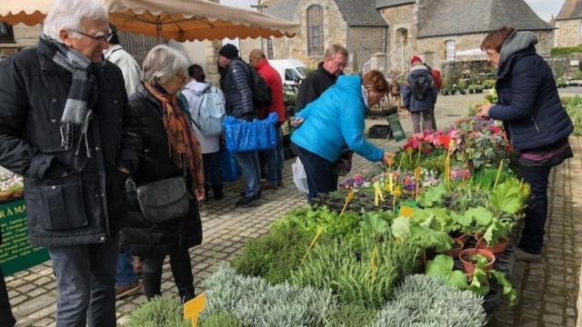 of_marche_aux_plantes_20180318_a