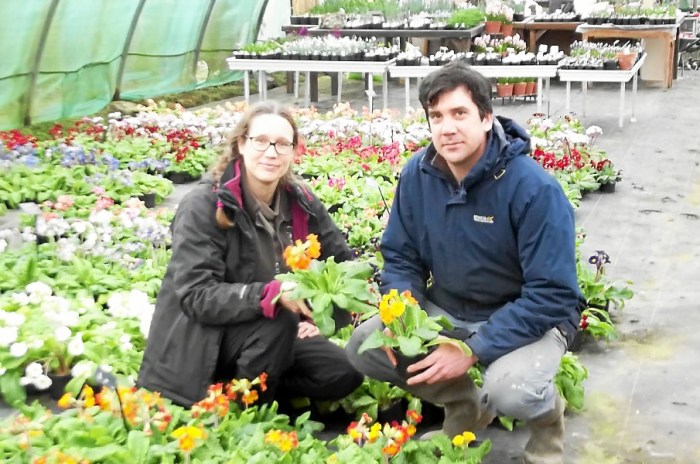 serge.gouessan_2018030111102258_Comitedesfetes