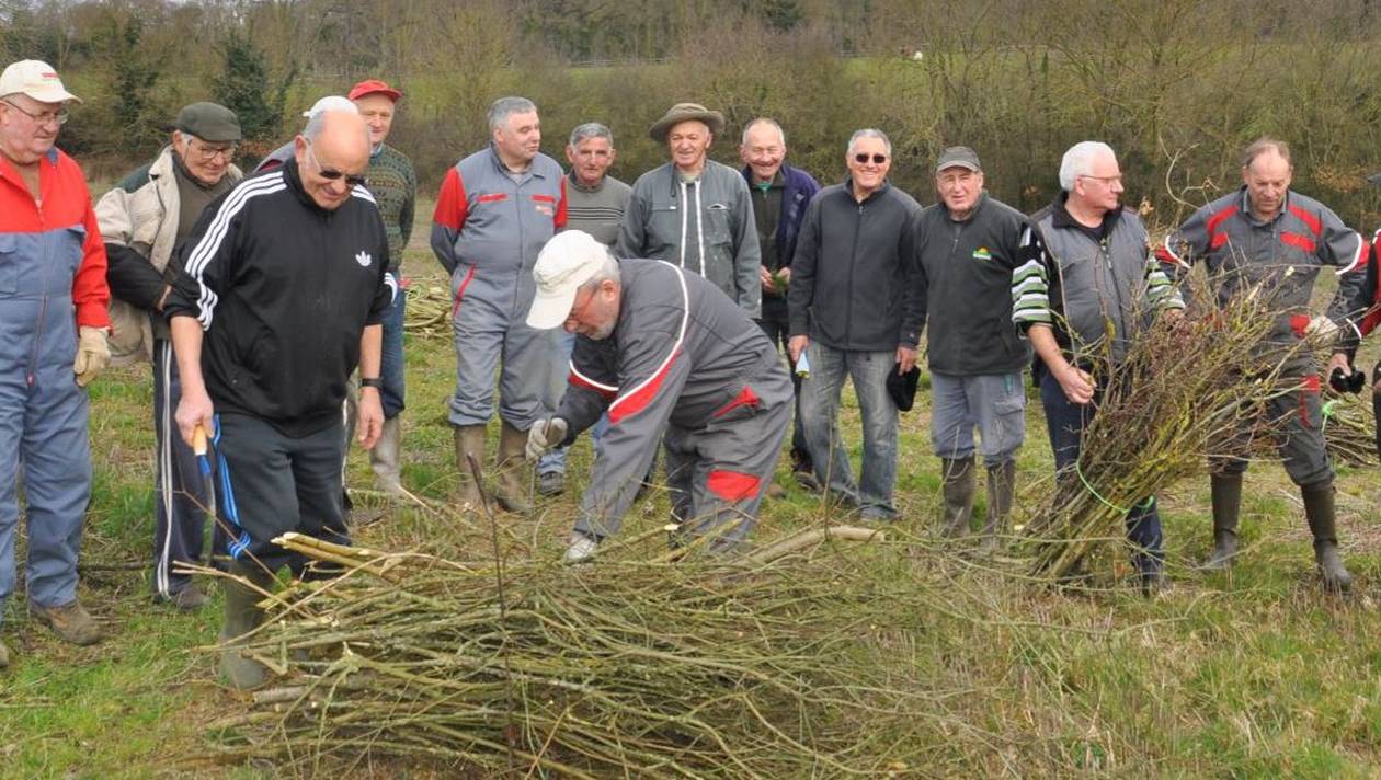 of_20190305_cdf_fagoterie