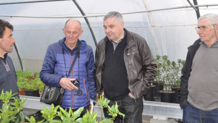 of_20190309_marche_aux_plantes