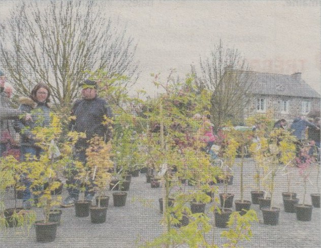 lp_20220324_marche_au_plantes