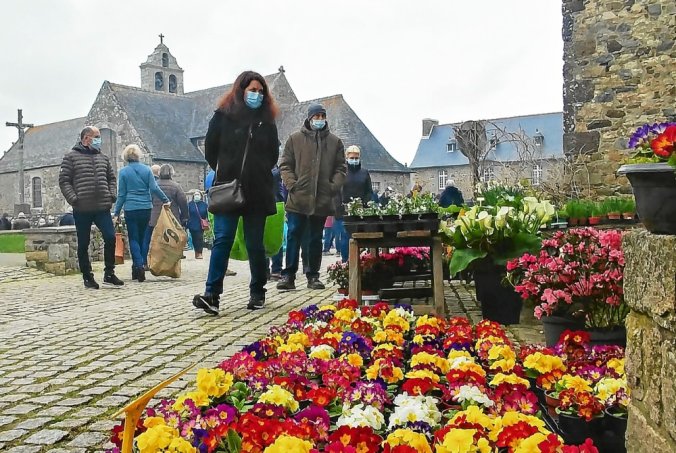 tg_20220319_marche_aux_plantes